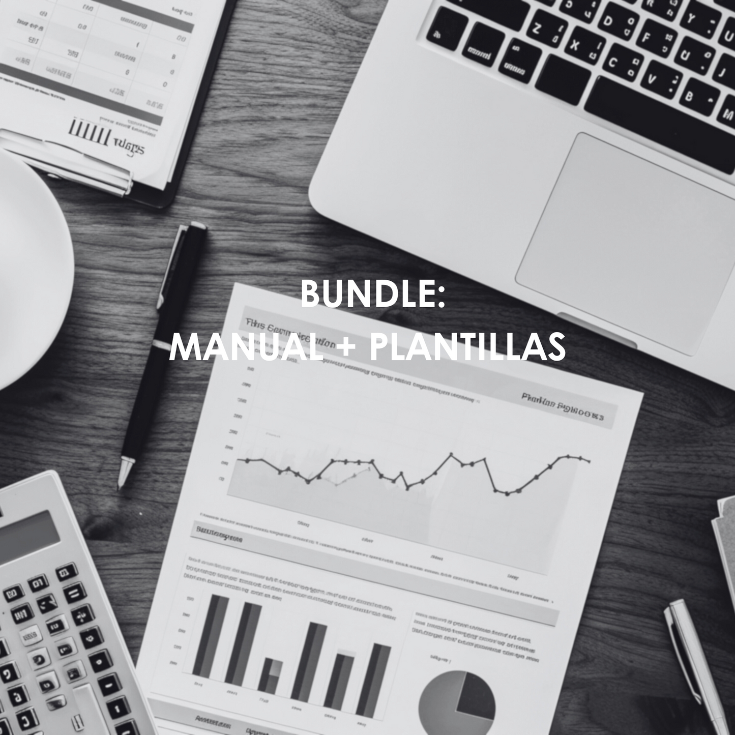 BUNDLE: Ebook + plantillas